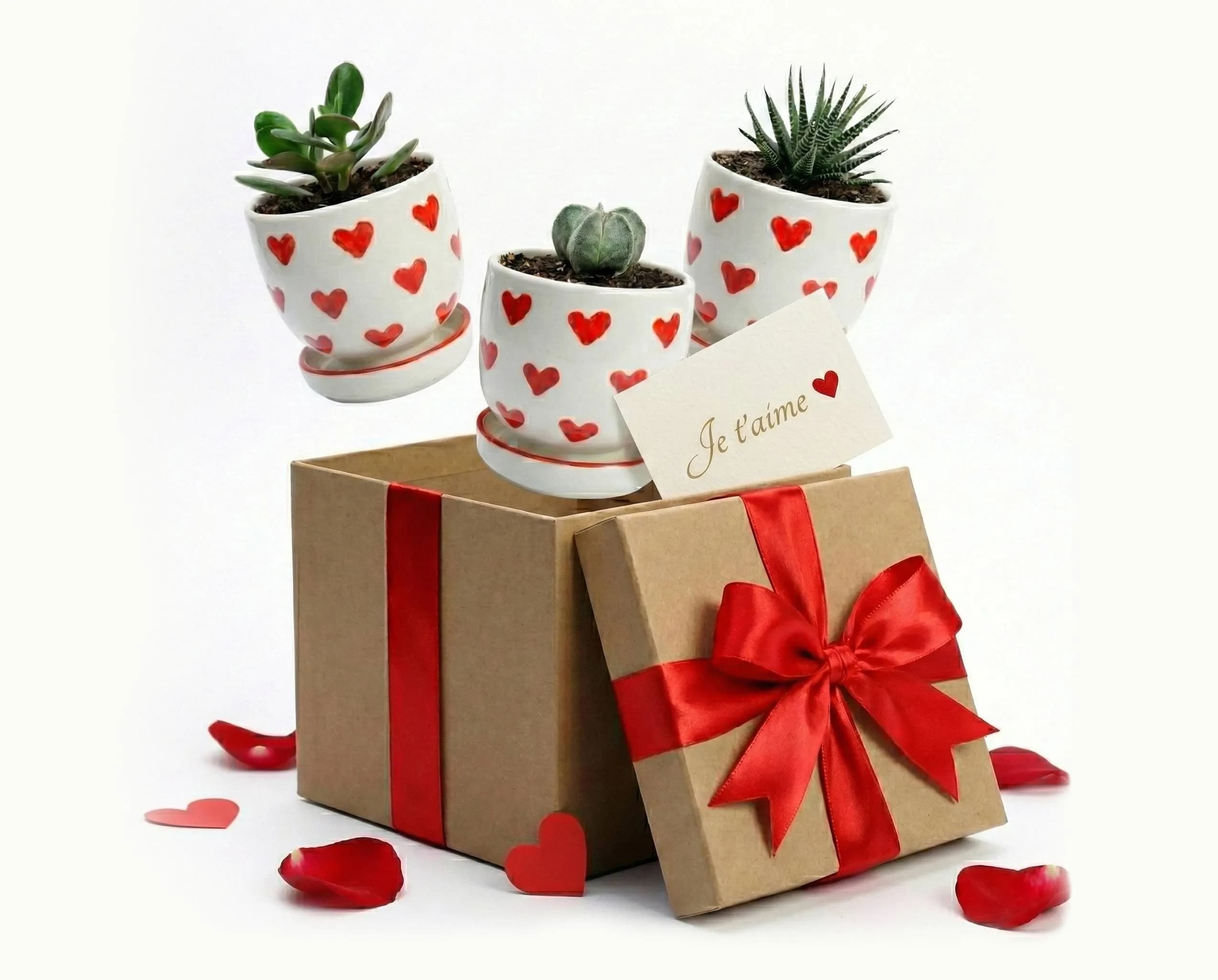 Offre Saint Valentin